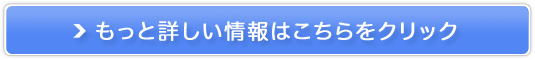 u錾v₦PTv̔TCg